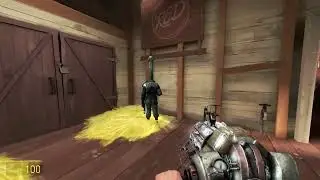 ctf_2fort anomaly mp5 (real)