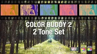 Color Buddy 2 Tone FX