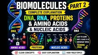 #biomolecule #RNA #DNA #proteins #amino acids # nucleic acids #trending #viral