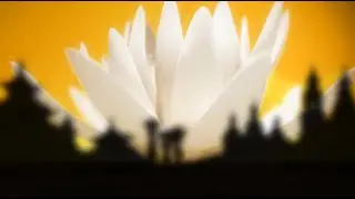 3D видео заставка. Animalab.ru