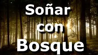 Bosque - Soñar con bosque, bosque de noche, perderse en un bosque, tenebroso
