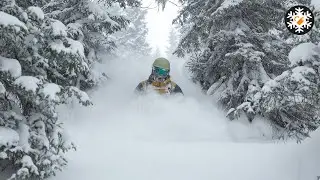 Lost in A Skiers Dream - Bakhmaro | Georgia