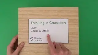 Cause and Effect