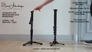 Leofoto Monopod MP-285C+ Monopod head VH-20+ VD-02 Universal Monopod Tripod Base