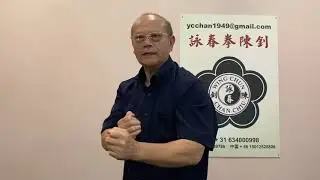 詠春陳釗師傅公益教學「小念頭」第二段 第一節