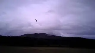 Crack Pitts with X Series 1800kv motor