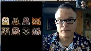 How to Draw Owls with John Muir Laws (Part 1 of 2)