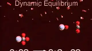 Dynamic Equilibrium