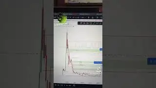 обзор альткоина gala