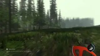 The FOREST Выживание - #10