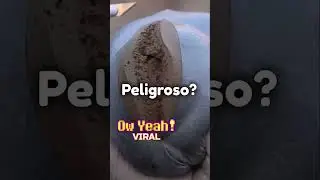 ¡Lo que nunca imaginaste! 🤯😱 Descubre estos datos curiosos 🔍🧐