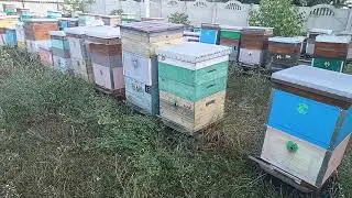 Завершение сезона.Что делаю Я для подготовки пчел в зиму