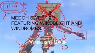 [100% IL] Divine Beast Vah Medoh in 5:28.933