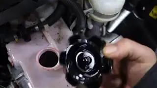 Snowmobile maintenance COMMANDER 800R E-TEC: how and where. Part 1