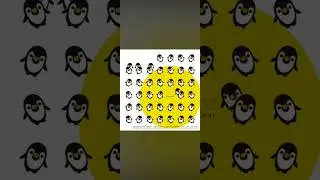 🤣🤣🤣