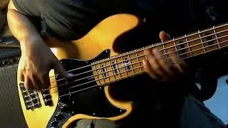 SMOOTH JAZZ BASS SOLO_BRAZILIAN LOVE AFFAIR