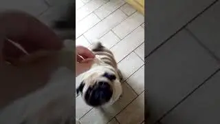 Быстрый завтрак
