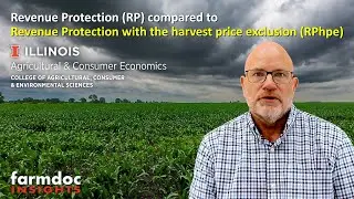 Revenue Protection (RP) compared to Revenue Protection with the harvest price exclusion (RPhpe)