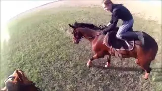 Побег