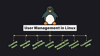 User Management in Linux | Complete Guide to Users, Groups, and Permissions