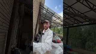 Фиаско в шаге от финала работ по посеву газона
