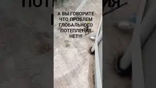 #глобальное_потепление