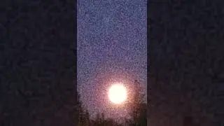 Moon Short