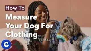 How To Measure A Dog For Clothing | Chewtorials