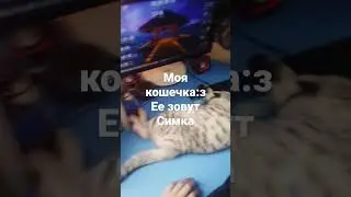 10 февраля 2023 г.