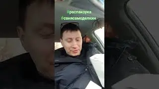 #распакоука #санясамоделкин #жига #жигули #зима #мем #типа