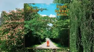Druid - Seasons Book 4: Summer Secrets (2024)