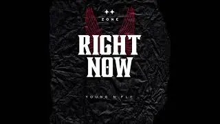 Right Now (Ft Young n Fly)