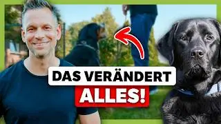 Hundetraining: Dieser oft übersehene FEHLER verhindert zuverlässige Kommandos