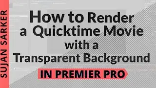 How To Export With A Transparent Background in Premiere Pro (alpha channel) | Bangla Tutorial