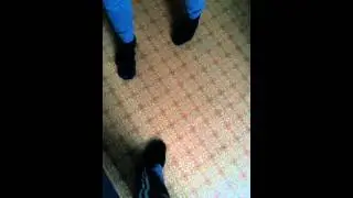 Издевательство над жирным .