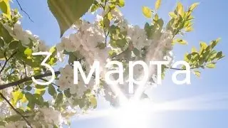 3 марта совет от Высших Сил. Под защитой Архангела Михаила.