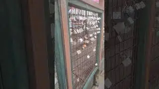 gembok cinta di aeon mall