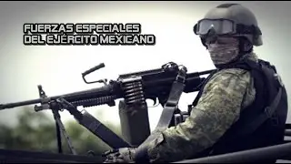Fuerzas Especiales del Ejército Mexicano (FER/CFE/FE BFP)