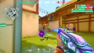 Just a Duelist with 0.245 800dpi