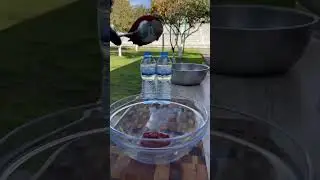 Сазан жареный. ￼Ковурилган Сазан.