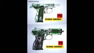 PB vs PM  |  9x18mm Makarov