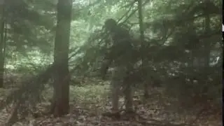 Epic AR 15 fail