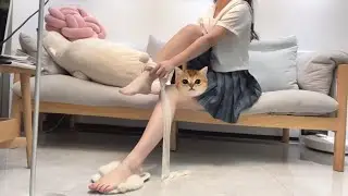 [丝袜测评]丨听说涞觅极光穿上之后腿就会发光？？ pantyhose