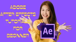 Adobe After Effects Tutorial -  Adjustment Layer (Part 24)
