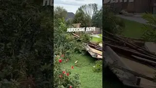 Hope everyone are safe! #texas #weather #hurricane #backyard #garden #summer #shorts