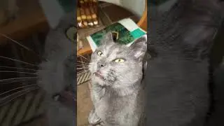 #рекомендации