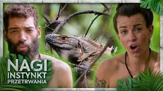 Three people were hunting an iguana. Did they satisfy their hunger that day? | The Basic Instinct...
