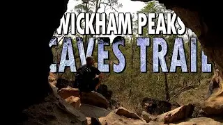 Wickham Forest MTB Trails - The Caves Trail