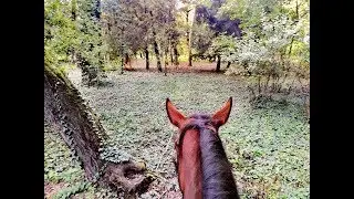 Horse riding - GoPro