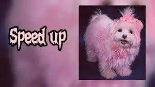 ~Нексюша - Лебединая Песня {speed up}~🎧💕